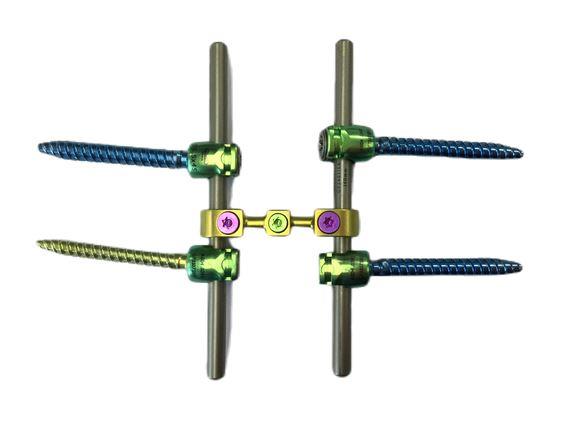 Pedicle rods and head assembly